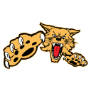 Chinle High Wildcats Logo