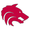 DMHS Wolves Varsity Smash Logo