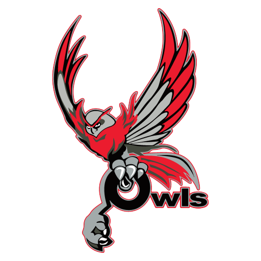 Owls Logo