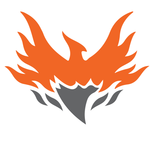 Firebirds Logo