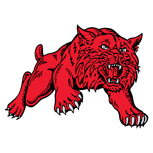 Wildkats Logo