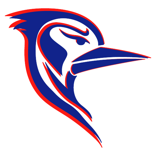 Roadrunners Logo