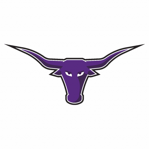 Longhorns Logo