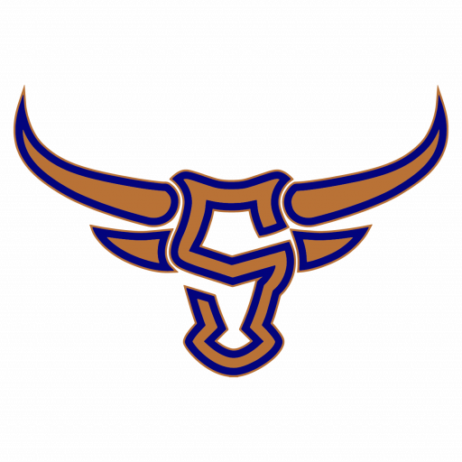 Toros Logo