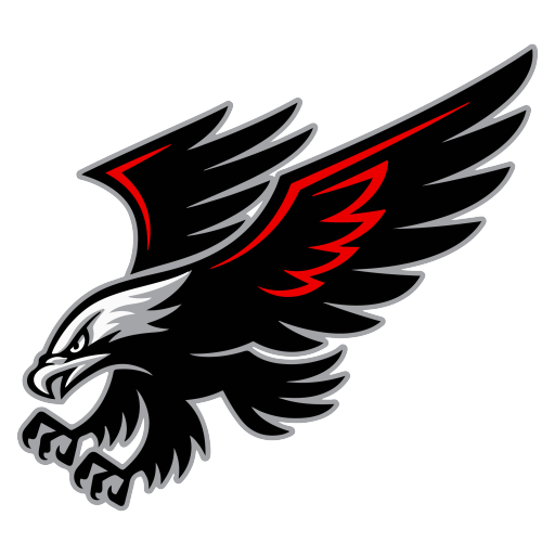 Black Hawks Logo
