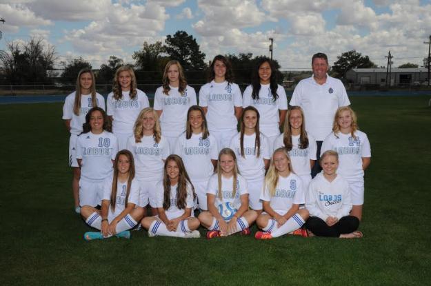 Snowflake Varsity Team Photo