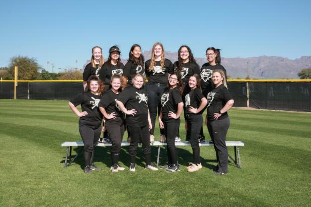 Apache Junction JV Team Photo