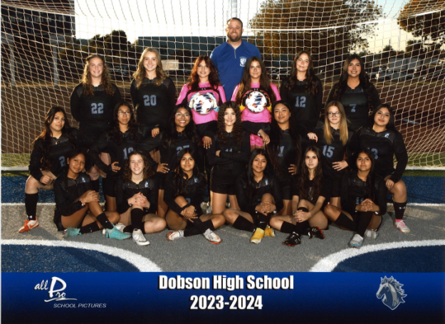 Dobson Varsity Team Photo