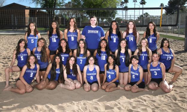 Dobson Varsity Team Photo