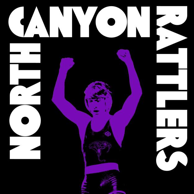 North Canyon Varsity Team Photo